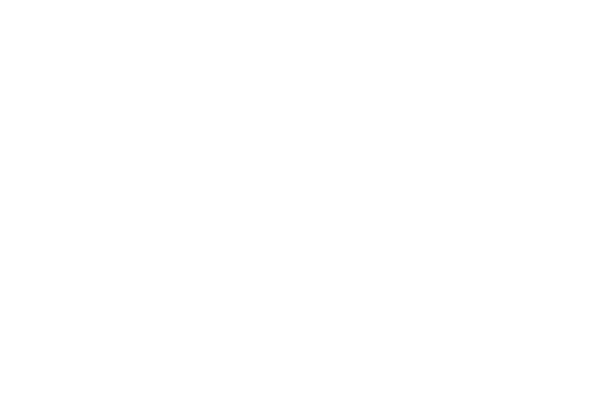 Vincor