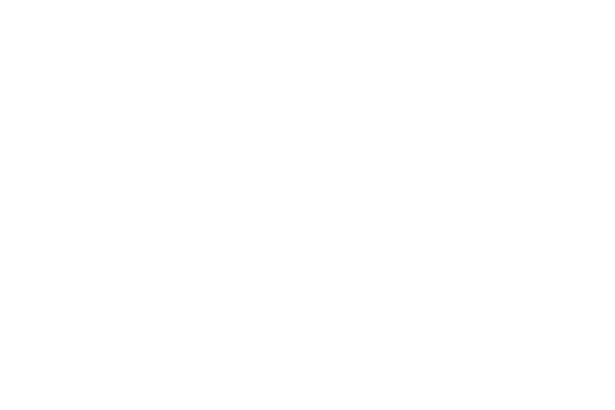 Brick + Mortar Reality